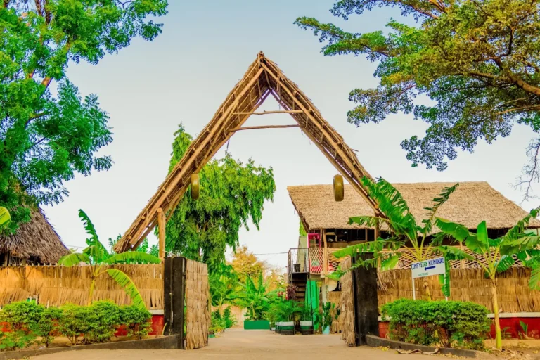 How to Spend One Day in Arusha Before Safari – Best Day Trips and Things to Do
