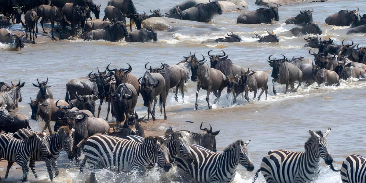 Best 2 Day Tanzania Budget Group Joining Safari from Moshi 2026-2027