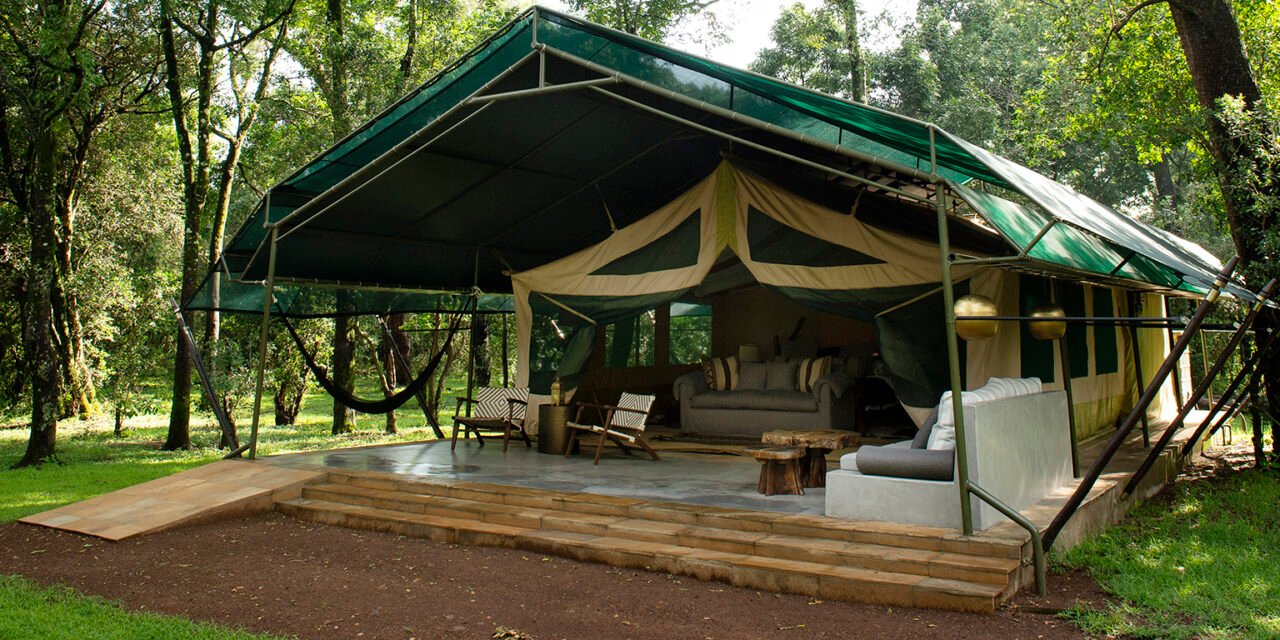 Tanzania Safari Tours With Early Morning Game Drives Included 2026-2027