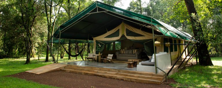 Tanzania Safari Tours with Early Morning Game Drives Included
