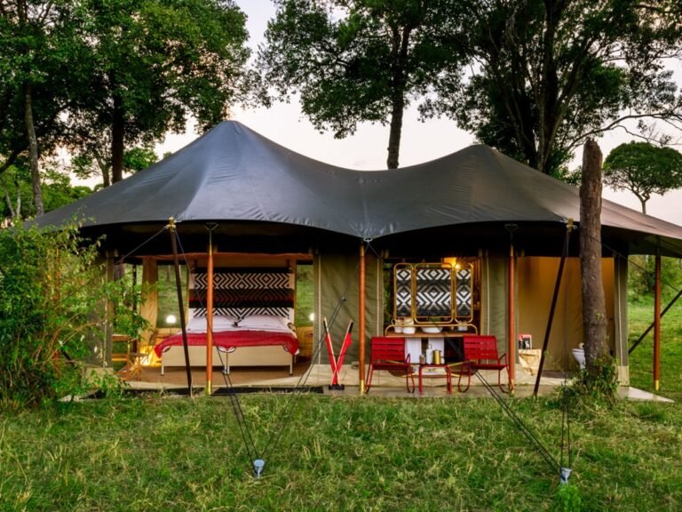 How Much Does a Private Serengeti Safari Cost for Two People?