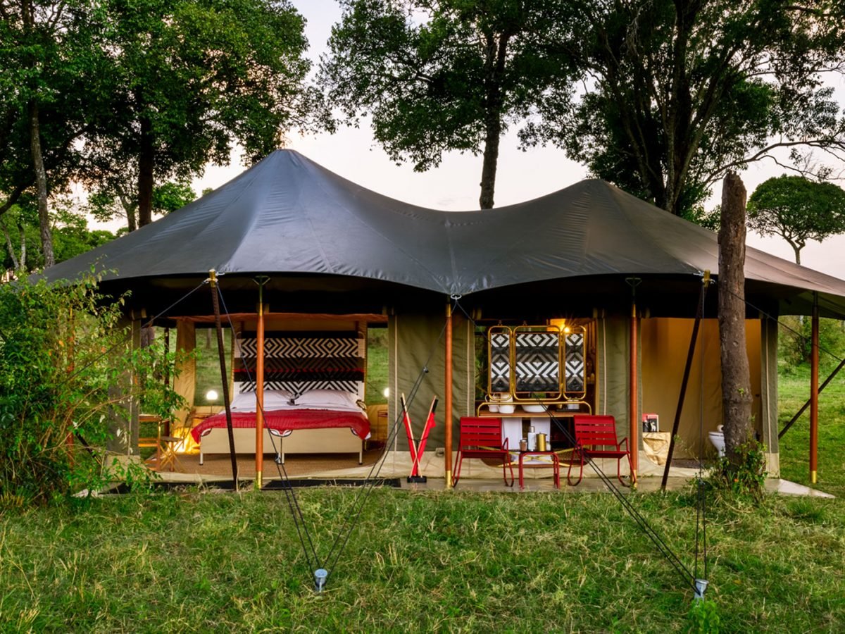 How Much Does A Private Serengeti Safari Cost For Two People? 2026-2027