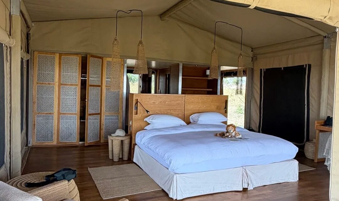Best Ngorongoro Crater Safari Tours With 6 Am Game Drive 2026-2027